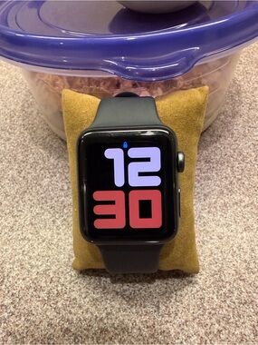 Apple Black Smartwatch with Black Sport Band